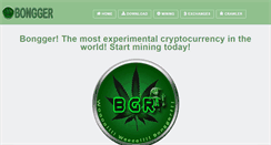 Desktop Screenshot of bongger.com